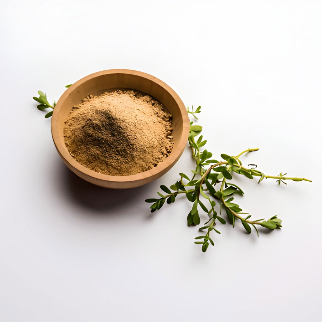 Brahmi Powder (Bacopa Monnieri)