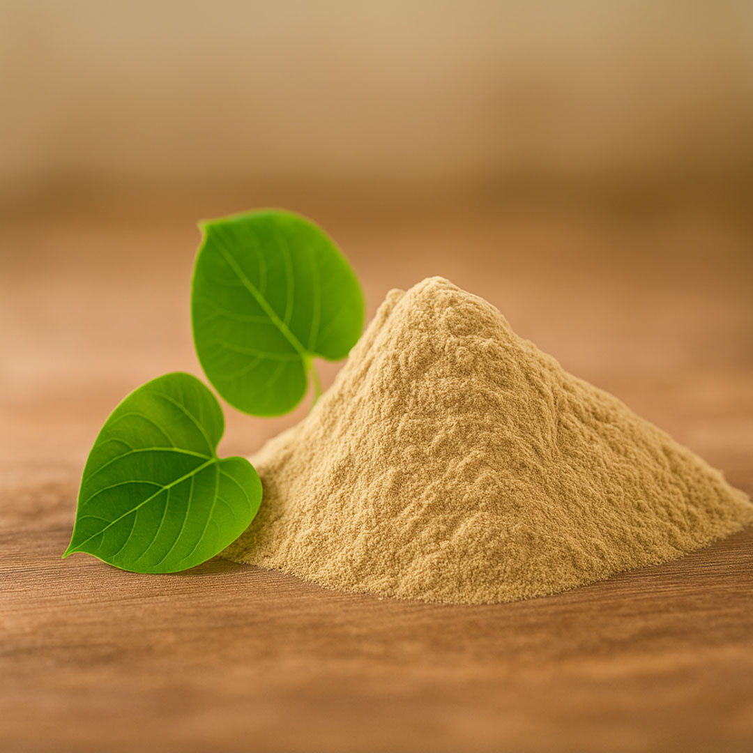 Atibala powder (Abutilon indicum)