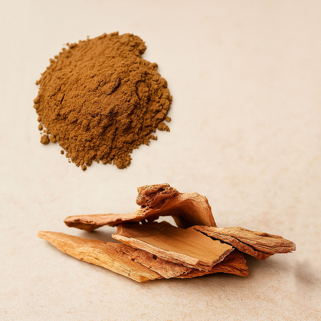 Kachnar barkpowder (Bauhinia variegata)