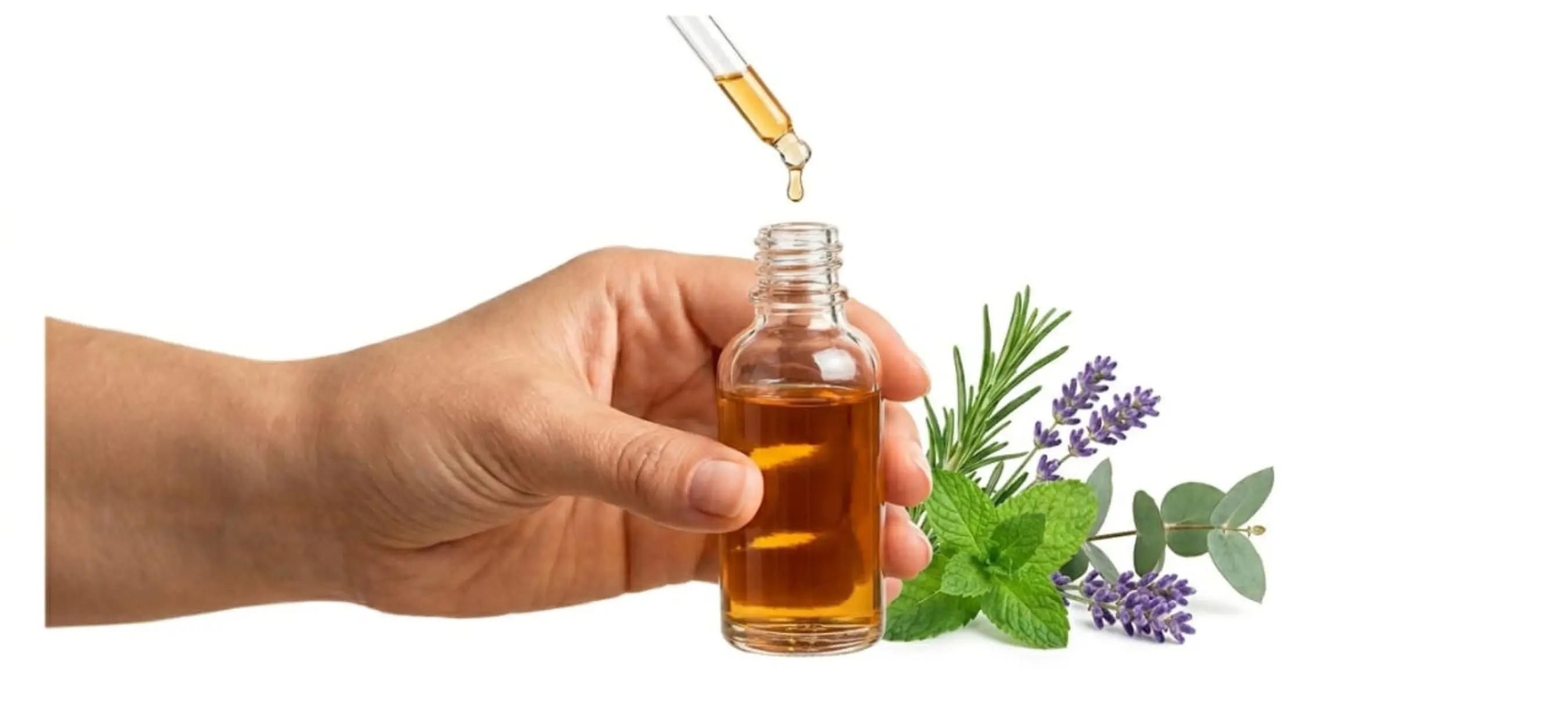 Essential Oils & Botanical Herbs Banner
