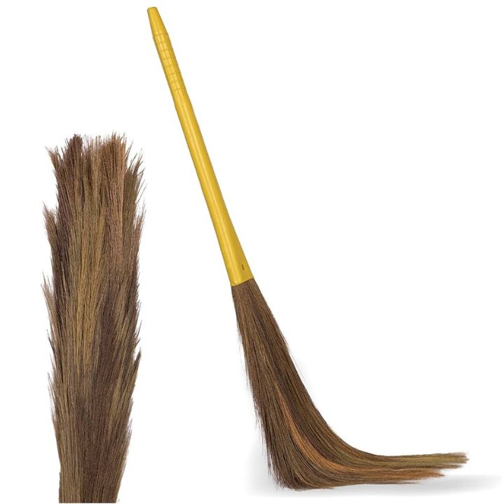 Broom Grass
