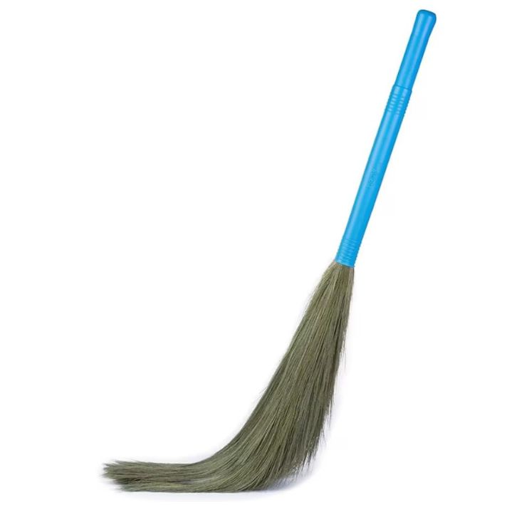Broom Grass