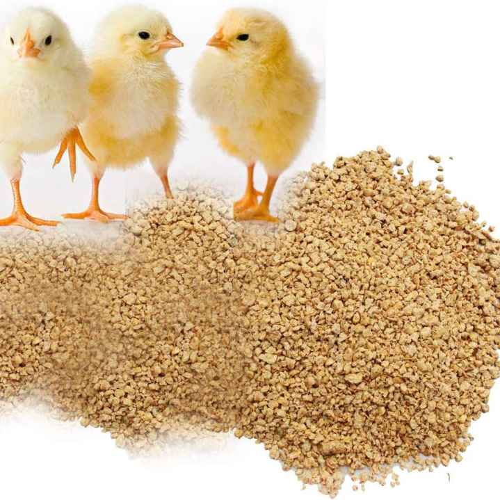 Poultry Chicken Feed