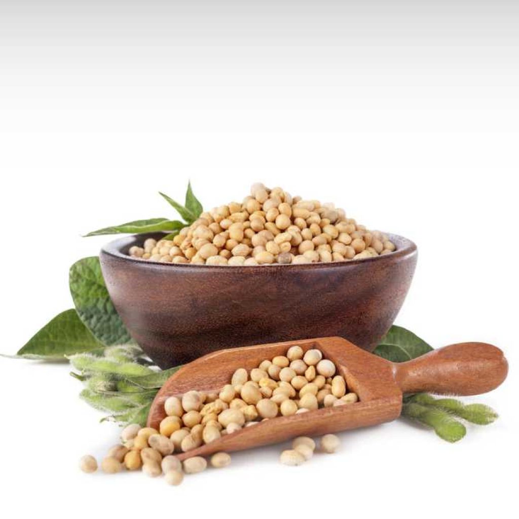 Soyabean